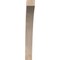 Ekena Millwork 3 1/2"W x 28"D x 28"H Thorton Smooth Knee Brace, Douglas Fir BRC04X28X28THR00SDF - alternate 4